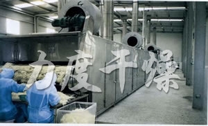 DWC系列脫水蔬菜帶式干燥機 DWC系列脫水蔬菜帶式干燥機